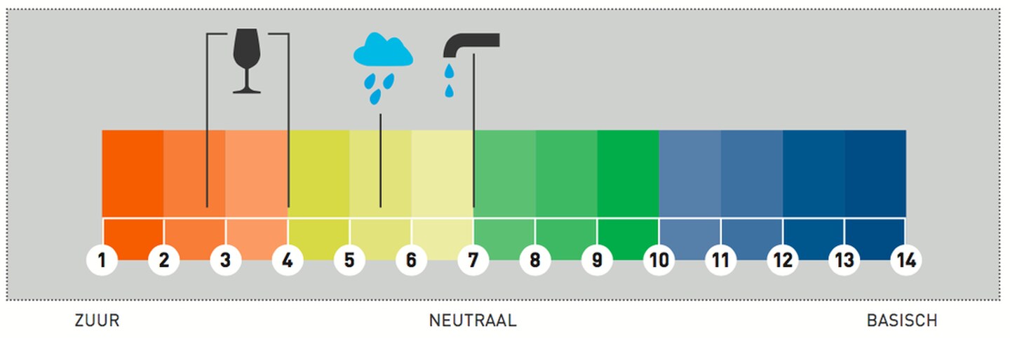 Zuur in wijn: Alles over de zuurgraad van wijn | Gall & Gall